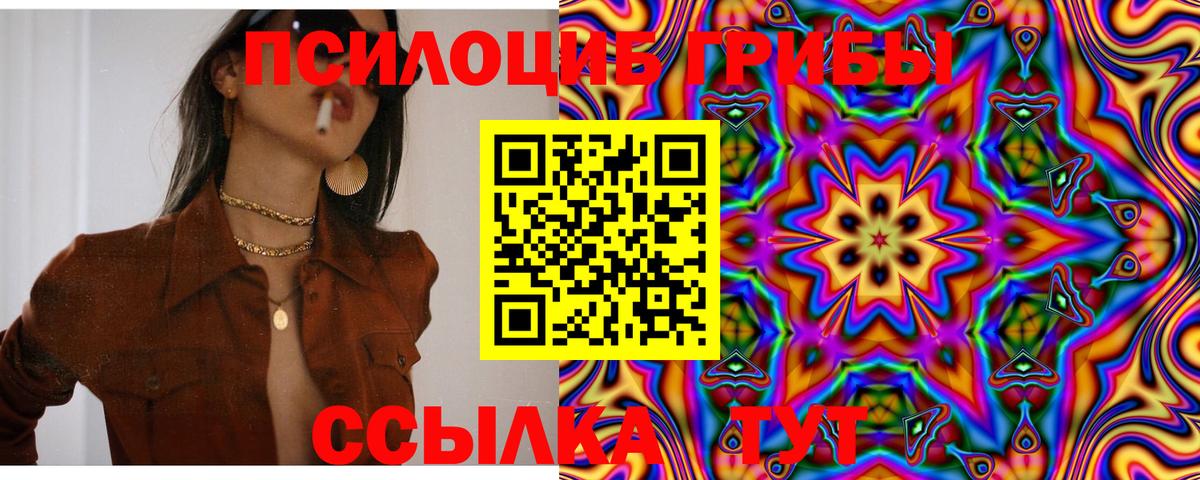 как найти закладки  Вход с VPN  Артёмовский  Псилоцибиновые грибы прущие грибы 